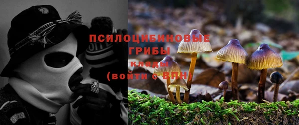 метадон Тында