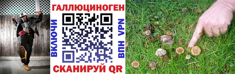 Псилоцибиновые грибы Psilocybine cubensis Купить где Волхов